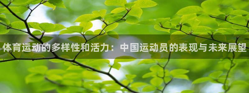 米兰体育官网下载招商：体育运动的多样性和活力：中国运