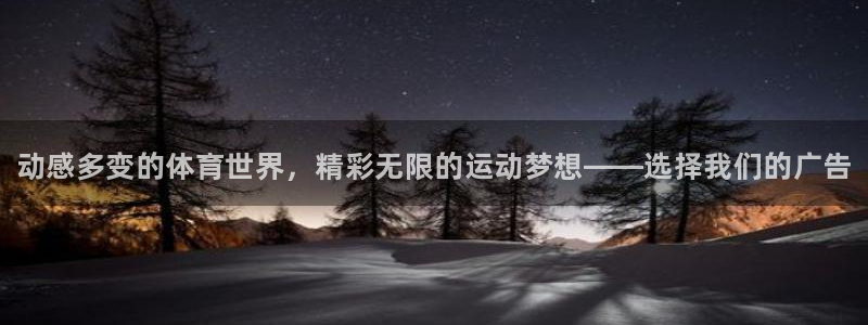 米兰体育官网下载是干嘛的公司：动感多变的体育世界，精