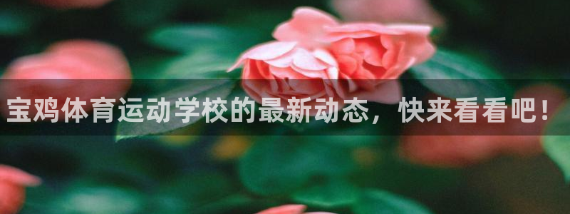 海南米兰体育官网下载