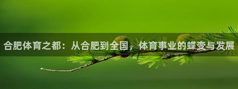 米兰体育官方正版app集团官网首页：合肥体育之都：从