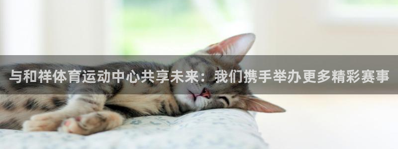 米兰体育官网下载官方客服电话：与和祥体育运动中心共享未来：我