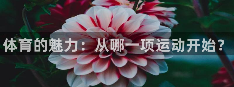 米兰体育官方正版app集团官网网址：体育的魅力：从哪