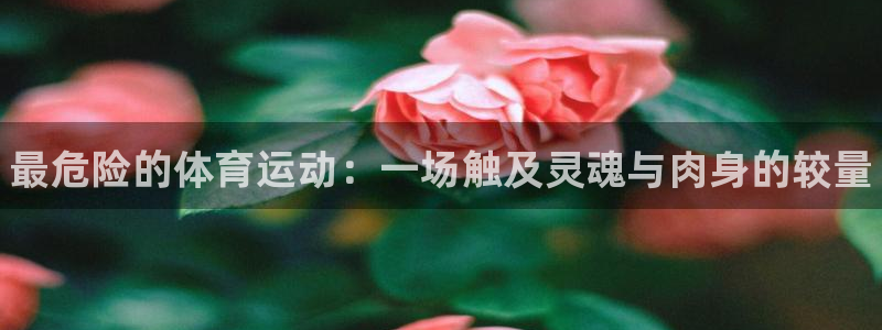 米兰体育官网下载平台假的吗是真的吗：最危险的体育运动：一场触