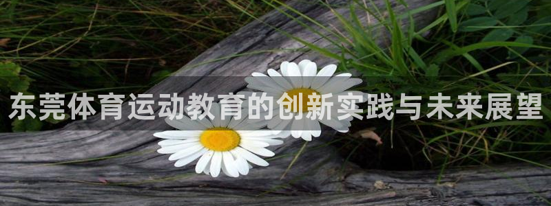 海南米兰体育官网下载：东莞体育运动教育的创新实践与未来展望