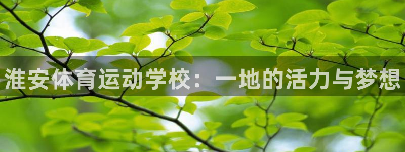 米兰体育官网下载是干嘛的公司：淮安体育运动学校：一地的活力与