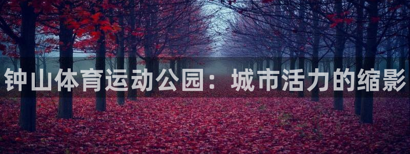 米兰体育官方正版app集团E.ON：钟山体育运动公园：城市活