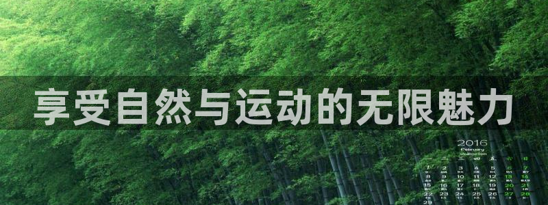 米兰体育官网下载是干嘛的公司：享受自然与运动的无限魅力
