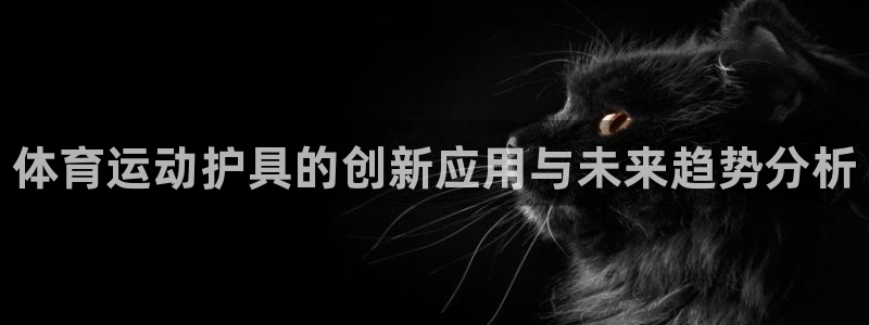 米兰体育官方正版app集团官网首页：体育运动护具的创