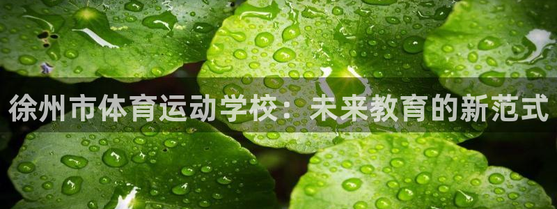 米兰体育官方正版app娱乐首页官网下载：徐州市体育运