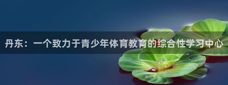 米兰体育官方正版app神州：丹东：一个致力于青少年体