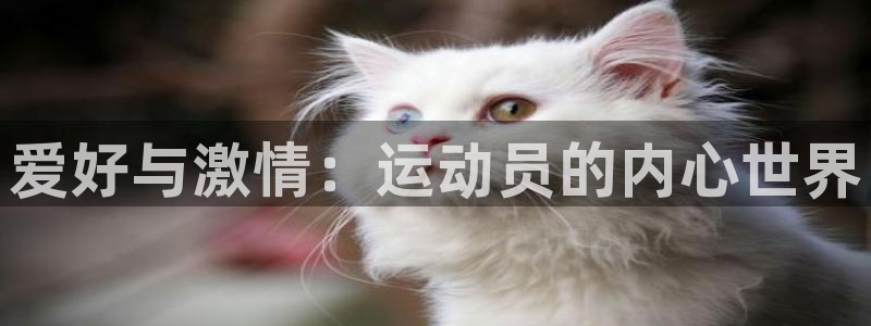米兰体育官网下载招商电话地址是多少