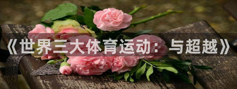 米兰体育官网下载平台是正规平台吗：《世界三大体育运动：与超越