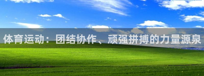 米兰体育官方正版app官方：体育运动：团结协作、顽强拼搏的力