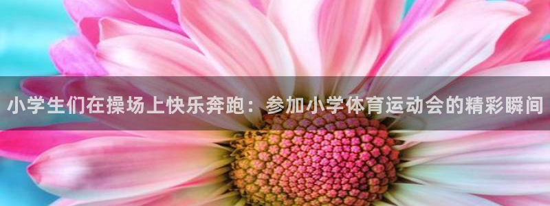 米兰体育官方正版app集团：小学生们在操场上快乐奔跑