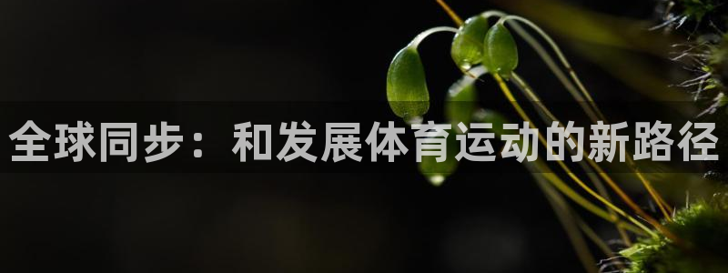 米兰体育官方正版app集团官网首页网址：全球同步：和