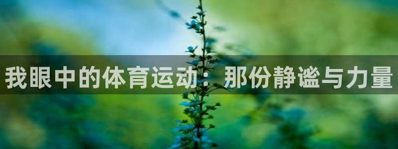 米兰体育官网下载官方客服电话