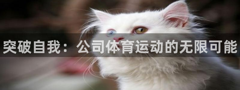 米兰体育官网下载招商电话号码查询
