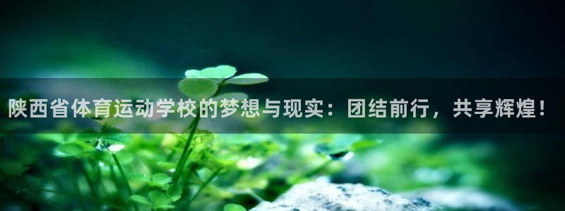 注册米兰体育官方正版app：陕西省体育运动学校的梦想与现实：
