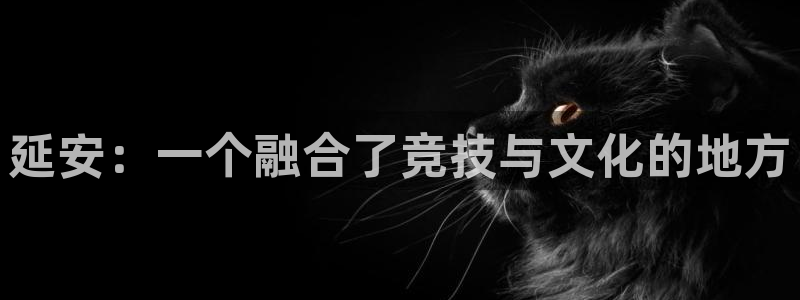 米兰体育官网下载平台注册：延安：一个融合了竞技与文化的地方