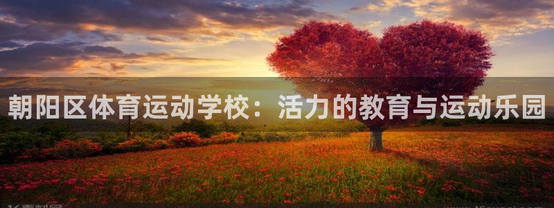 注册米兰体育官方正版app：朝阳区体育运动学校：活力的教育与