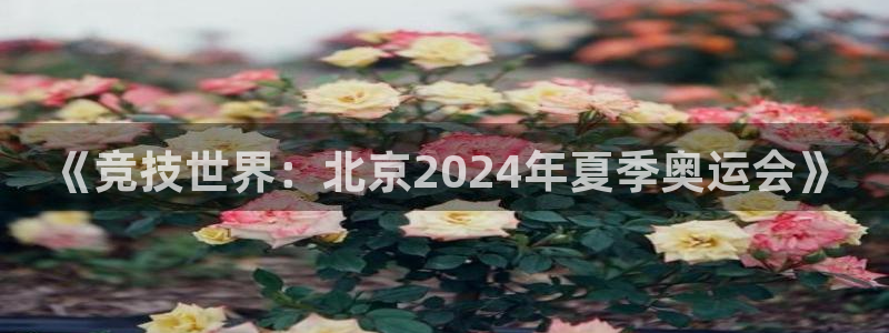 米兰体育官网下载娱乐：《竞技世界：北京2024年夏季
