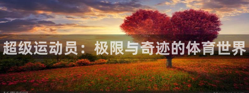 米兰体育官网下载平台是正规平台吗：超级运动员：极限与