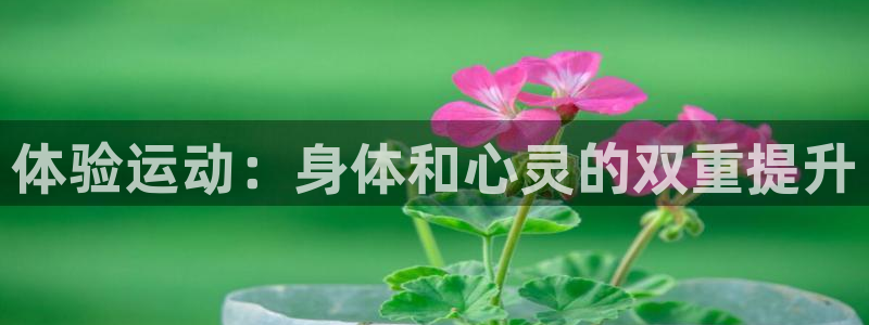 米兰体育官网下载注册：体验运动：身体和心灵的双重提升