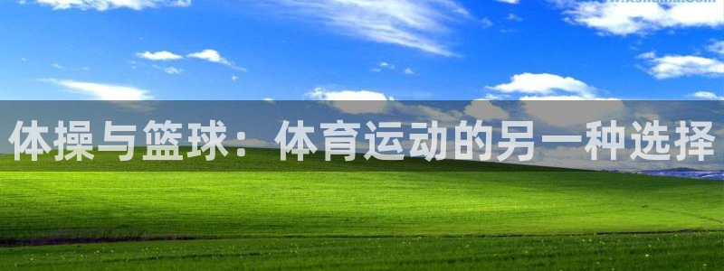 米兰体育官方正版app新能源：体操与篮球：体育运动的