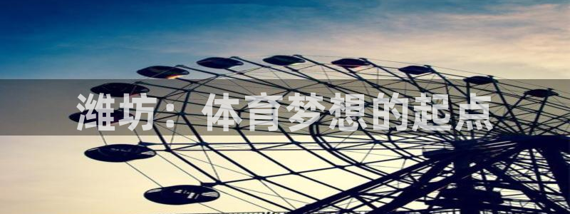 米兰体育官网下载官方客服电话：潍坊：体育梦想的起点