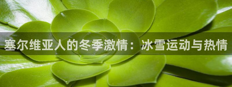  米兰体育与瓦伦西亚合作了吗：塞尔维亚人的冬季激情：冰雪运动与