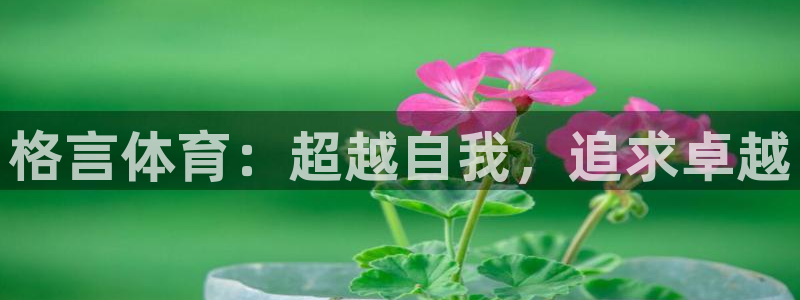 米兰体育场叫什么名字好听：格言体育：超越自我，追求卓越