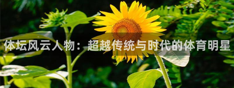  米兰体育客服在哪里：体坛风云人物：超越传统与时代的体育明星