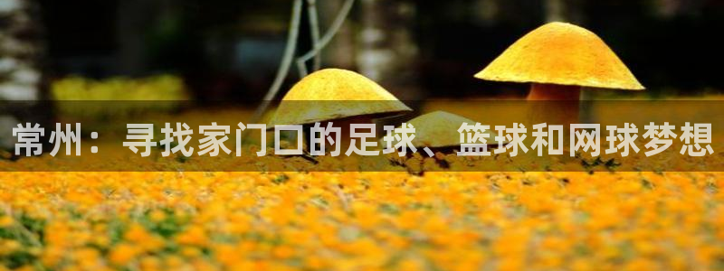  米兰体育软件里有股票嘛知乎：常州：寻找家门口的足球、篮球和网