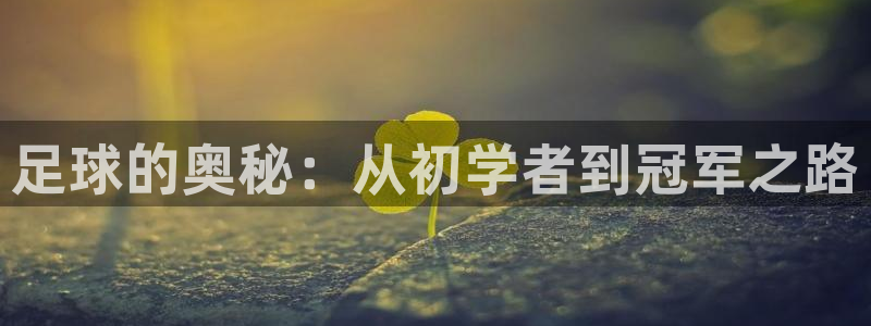 米兰体育能退钱吗现在：足球的奥秘：从初学者到冠军之路