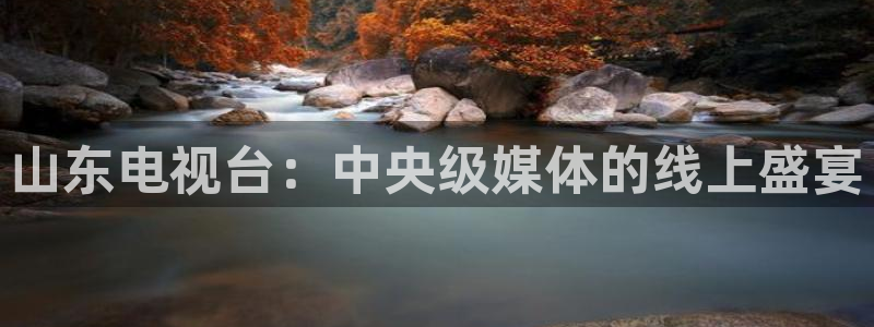 51视频在线直播nba：山东电视台：中央级媒体的线上盛宴