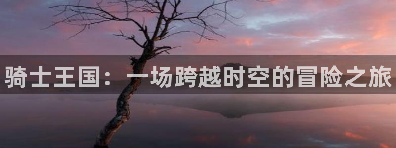 51视频在线直播nba：骑士王国：一场跨越时空的冒险之旅